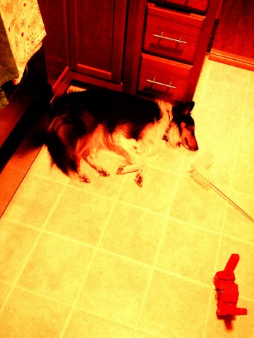 2010-12-29-22-35-01-037_360x480