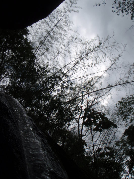 34064_759382733958_20700324_43024646_7748742_n