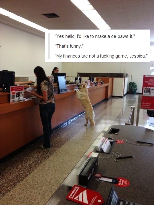 de-paws-it