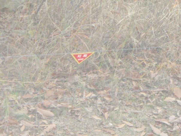 dmz99