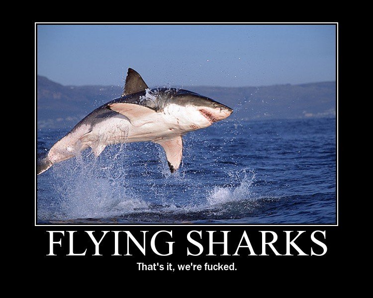 flysharks