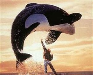 free_willy
