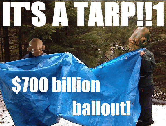 tarp