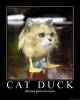 catduck.jpg