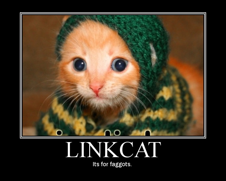linkcatmotivator