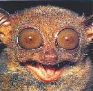 bitchnipples's Avatar